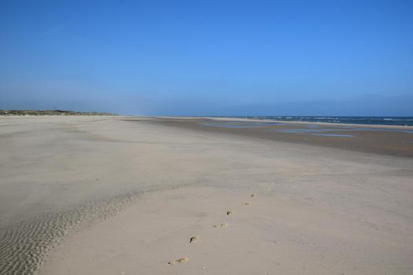 Langeoog: Endlose Strände und das vielleicht schönste Insel-Dorf der Nordsee